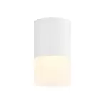 LP954-1C Spot  Lampardi 1x50w  - img 1