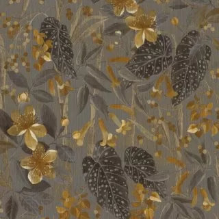Image-product