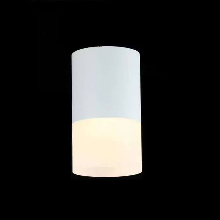LP954-1C Spot  Lampardi 1x50w  - img 3