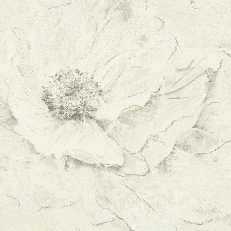 Image-product