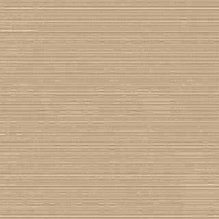 20588 Champagne/Taupe Covor Floorlux 80 x 150 