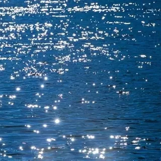 4-518 Stelle di Mare 254*184cm