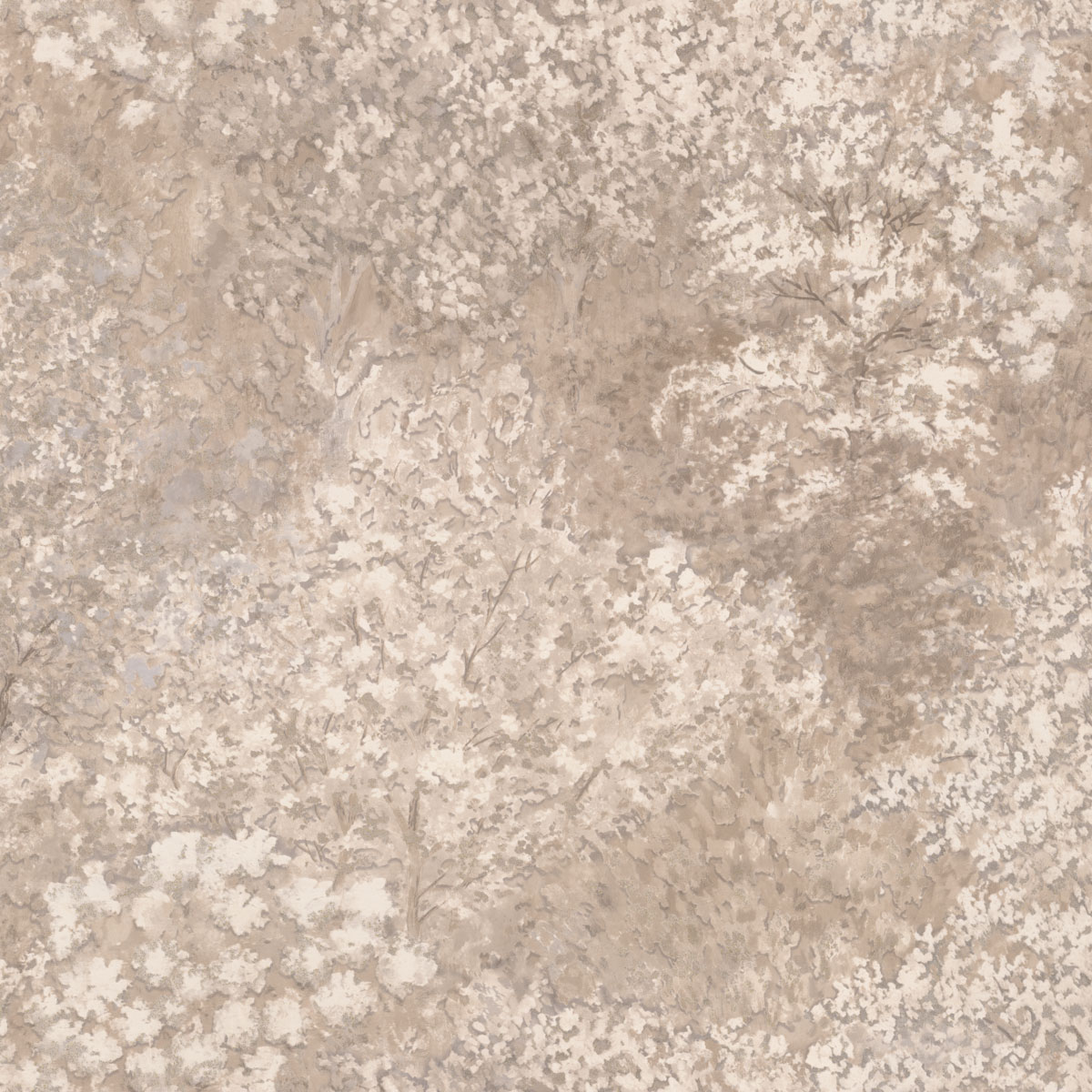 Image-product