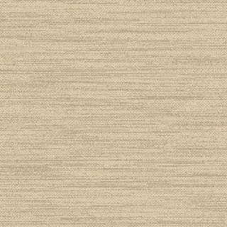 20389 Champagne/Taupe Covor Floorlux 80 x 150 