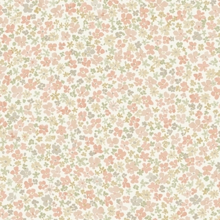 Image-product