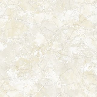 Image-product