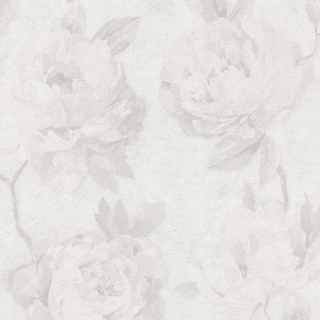 Image-product