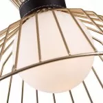 LP576-1P Suspensie Baldi Lampardi 1x40w G9/H30-150cmD28cm - img 7