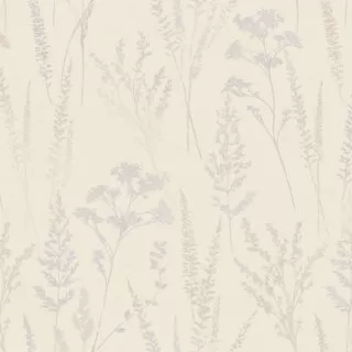 Image-product