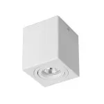 FL803-1C Lustra Cuadro Flitz  - img 2