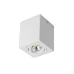 FL803-1C Lustra Cuadro Flitz  - img 1