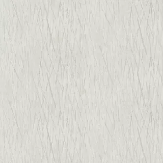 Image-product