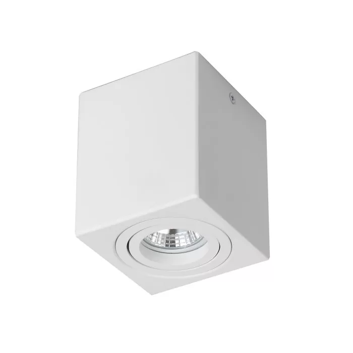 FL803-1C Lustra Cuadro Flitz  - img 2