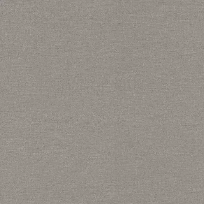 555875 Tapete Lirico , 0.53 m - img 1
