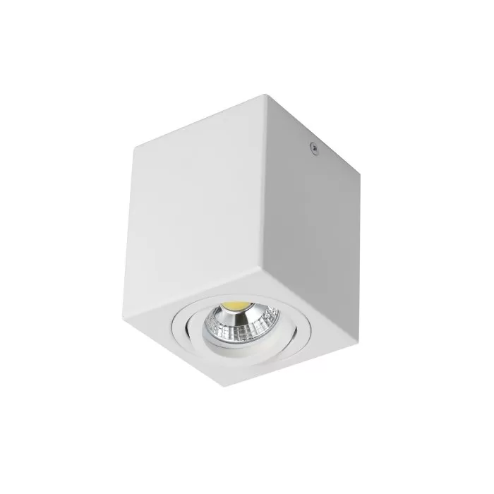 FL803-1C Lustra Cuadro Flitz  - img 1