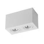 FL803-2C Lustra Cuadro Flitz  - img 2
