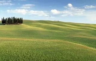 4-715 Tuscany 368*127 cm