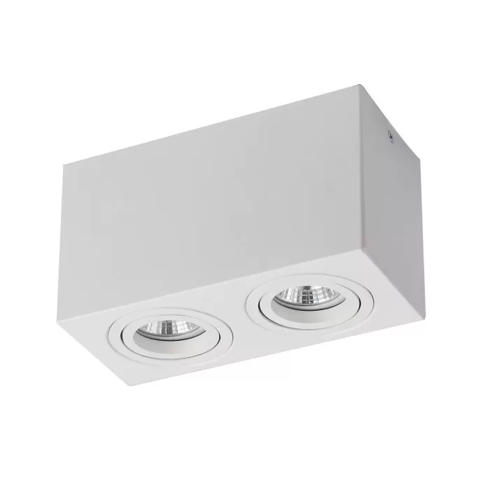 FL803-2C Lustra Cuadro Flitz  - img 2