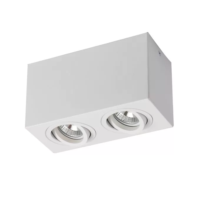 FL803-2C Lustra Cuadro Flitz  - img 1