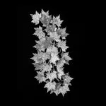 CLN198-5W Aplica Leaves Cellini  - img 4