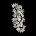 CLN198-5W Aplica Leaves Cellini  - img 2