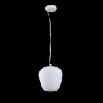 LP578-1P Suspensie Matice Lampardi 1x60w E27/H30-130cmD20cm - img 4