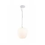 LP578-1P Suspensie Matice Lampardi 1x60w E27/H30-130cmD20cm - img 1
