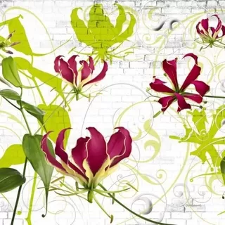 8-899 Gloriosa 368*254 cm