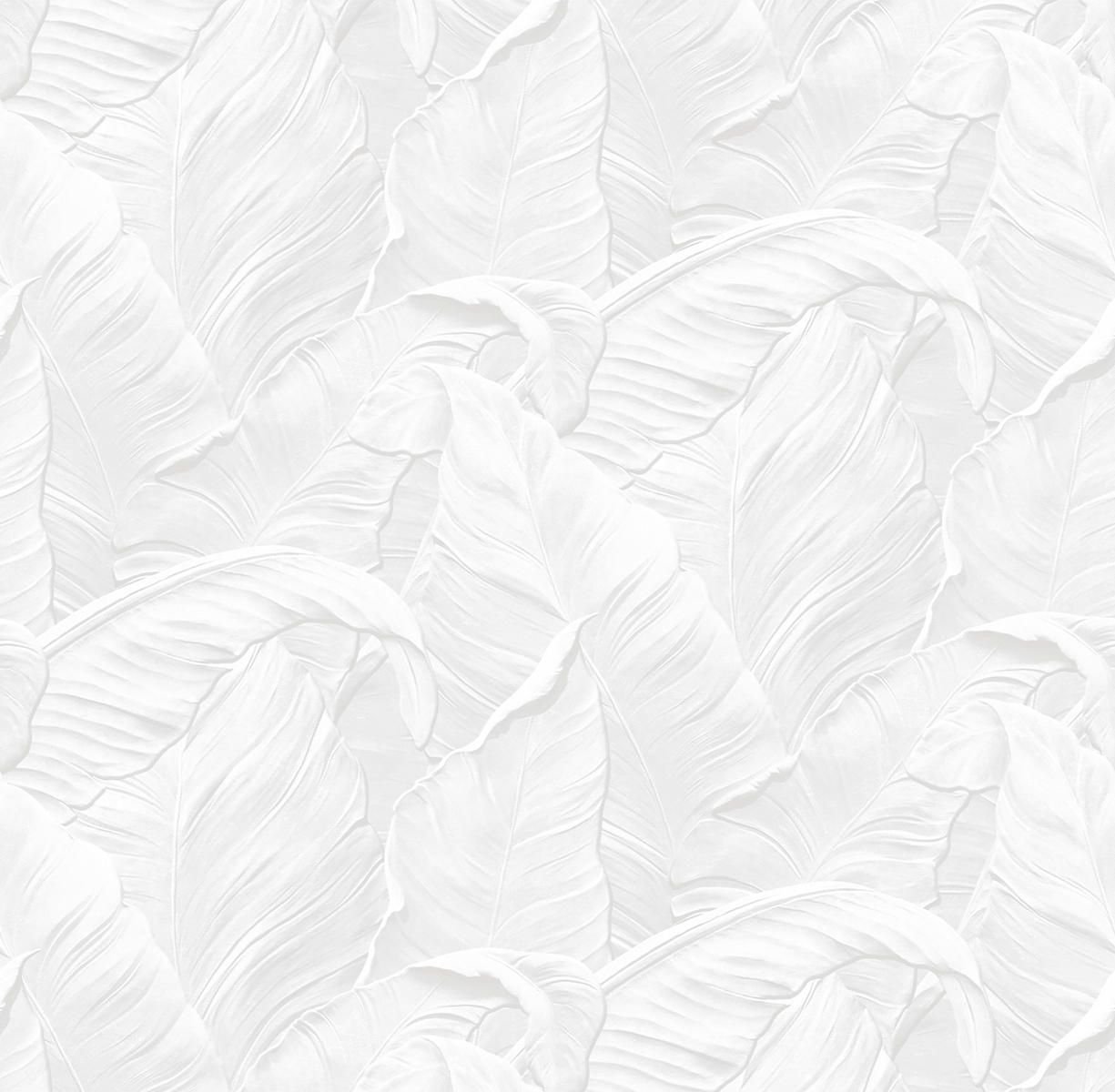 Image-product