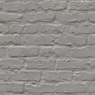 Image-product
