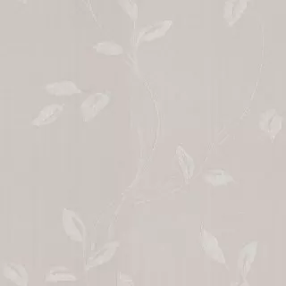 Image-product