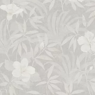 Image-product