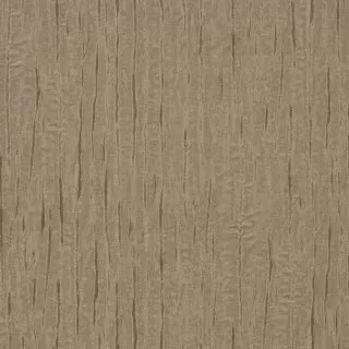 Image-product