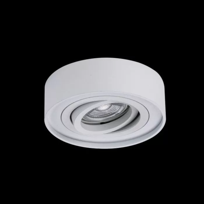 LP950-1C Spot Norma white Lampardi 1x50w  - img 4