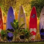 8-902 Maui 368*254 cm - img 1