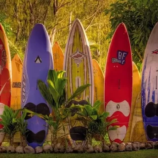8-902 Maui 368*254 cm