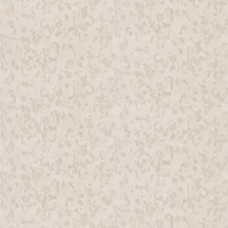 Image-product
