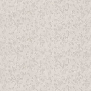 Image-product