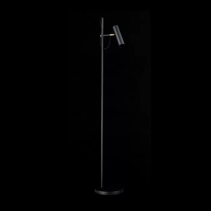 LP5058-1F Lampadar Focus Lampardi  - img 4