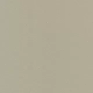 JF1214 Tapete Jungle Fever 0.53 m