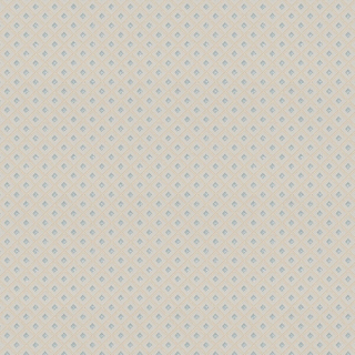 Image-product