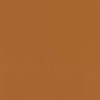 796223-(954005) stock Tapete Sedustion 0.53 m