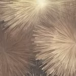 7364-12 # Tapet Aster 1.06m - img 1