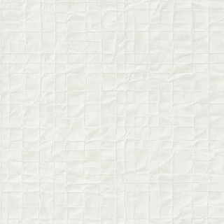 Image-product