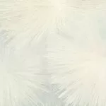 7364-23 # Tapet Aster 1.06m - img 1
