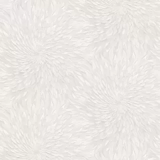 Image-product