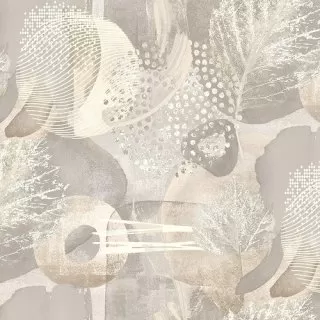 Image-product
