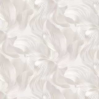 Image-product