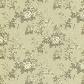 Image-product