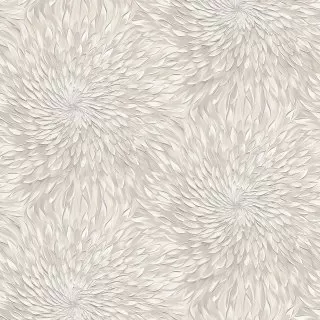Image-product